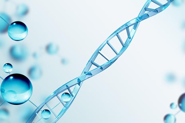 宁波DNA亲子鉴定怎么做？做亲子鉴定有哪些手续? 
