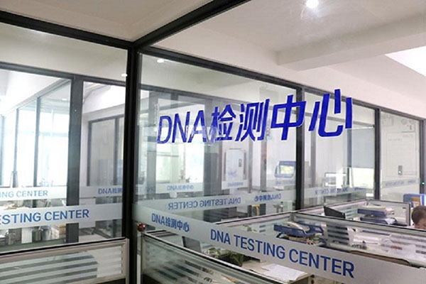 宁波DNA检测多少钱（探秘DNA检测的价格与结果解读） 