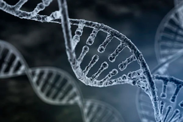 刮宫刮下来的组织能否用于DNA分析？